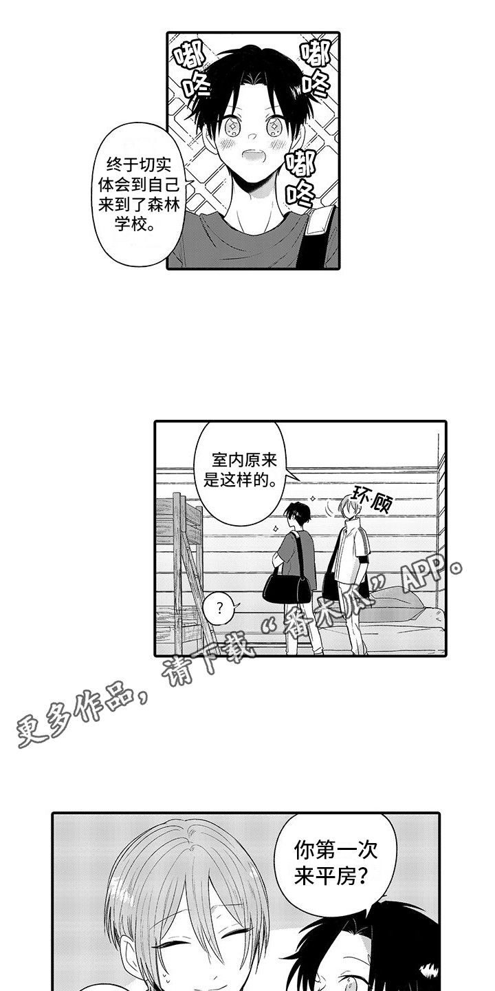 8.jpg