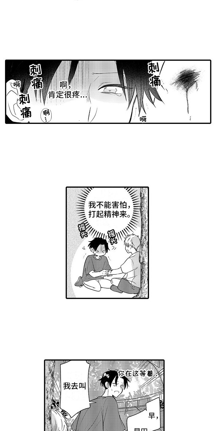 3.jpg