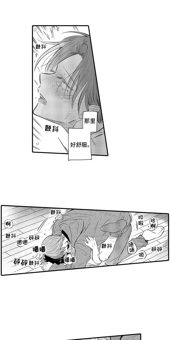 15.jpg