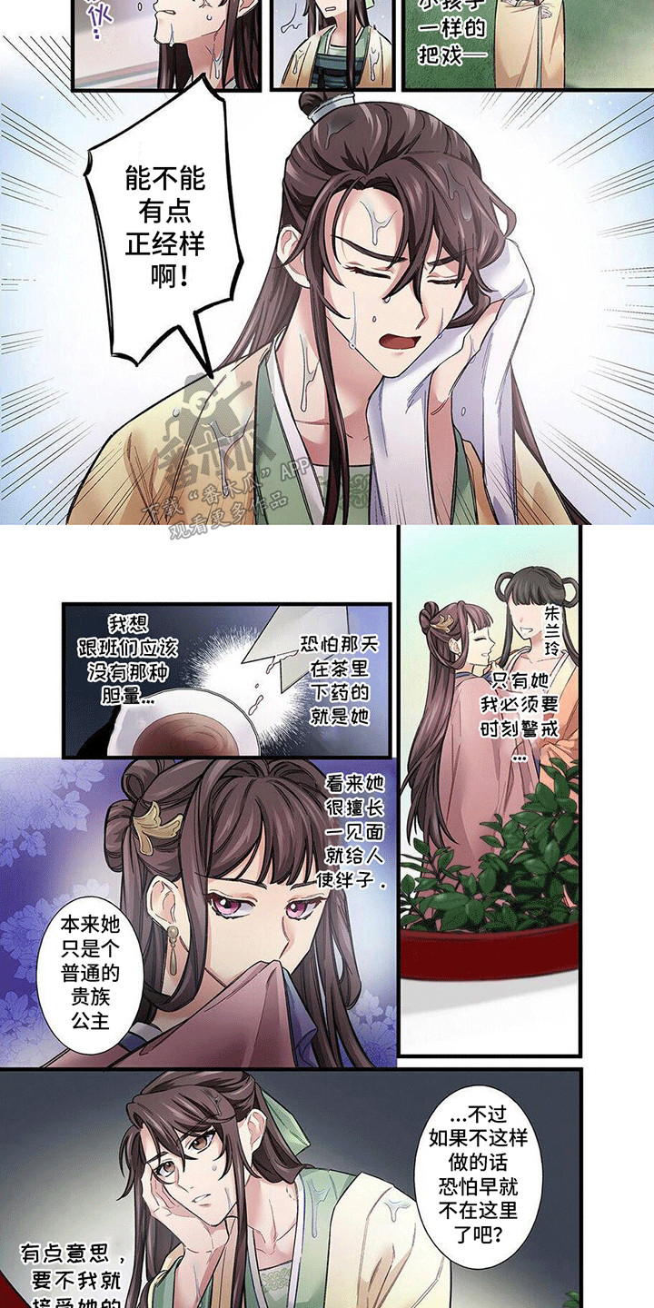 8.jpg