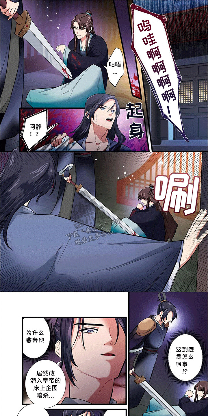 1.jpg