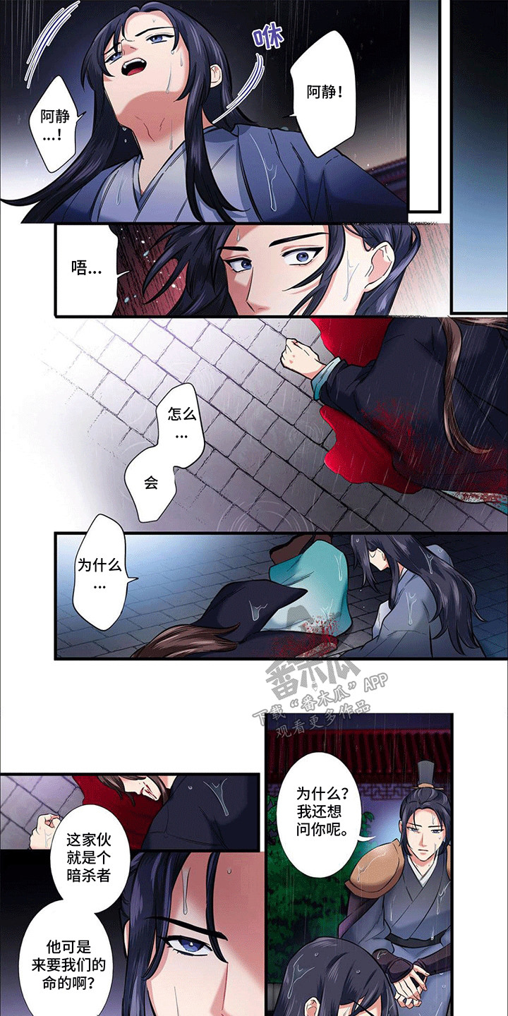 5.jpg