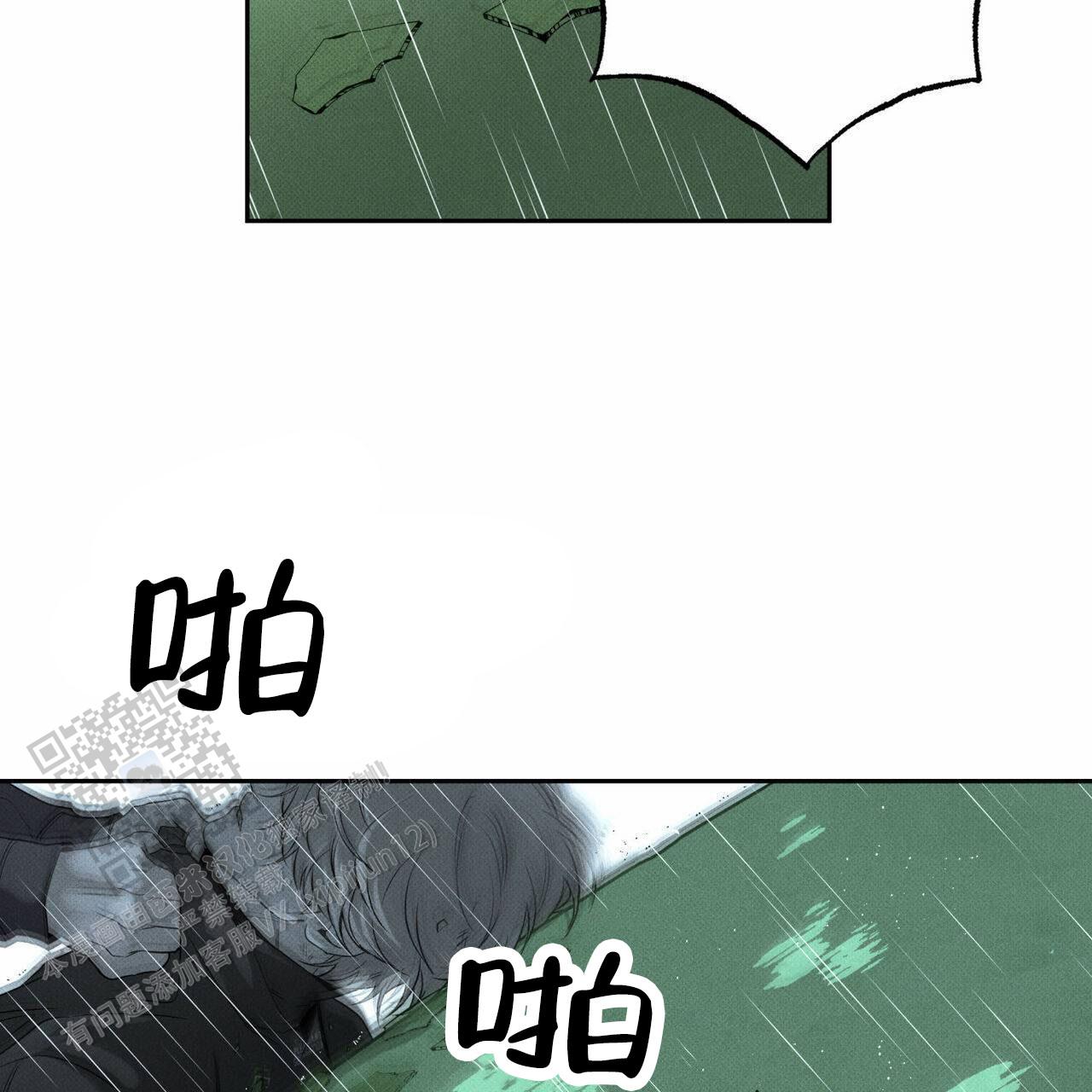 46.jpg