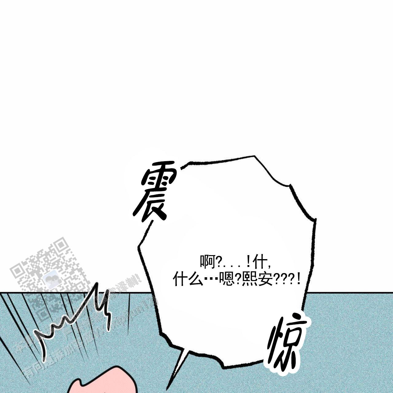 49.jpg