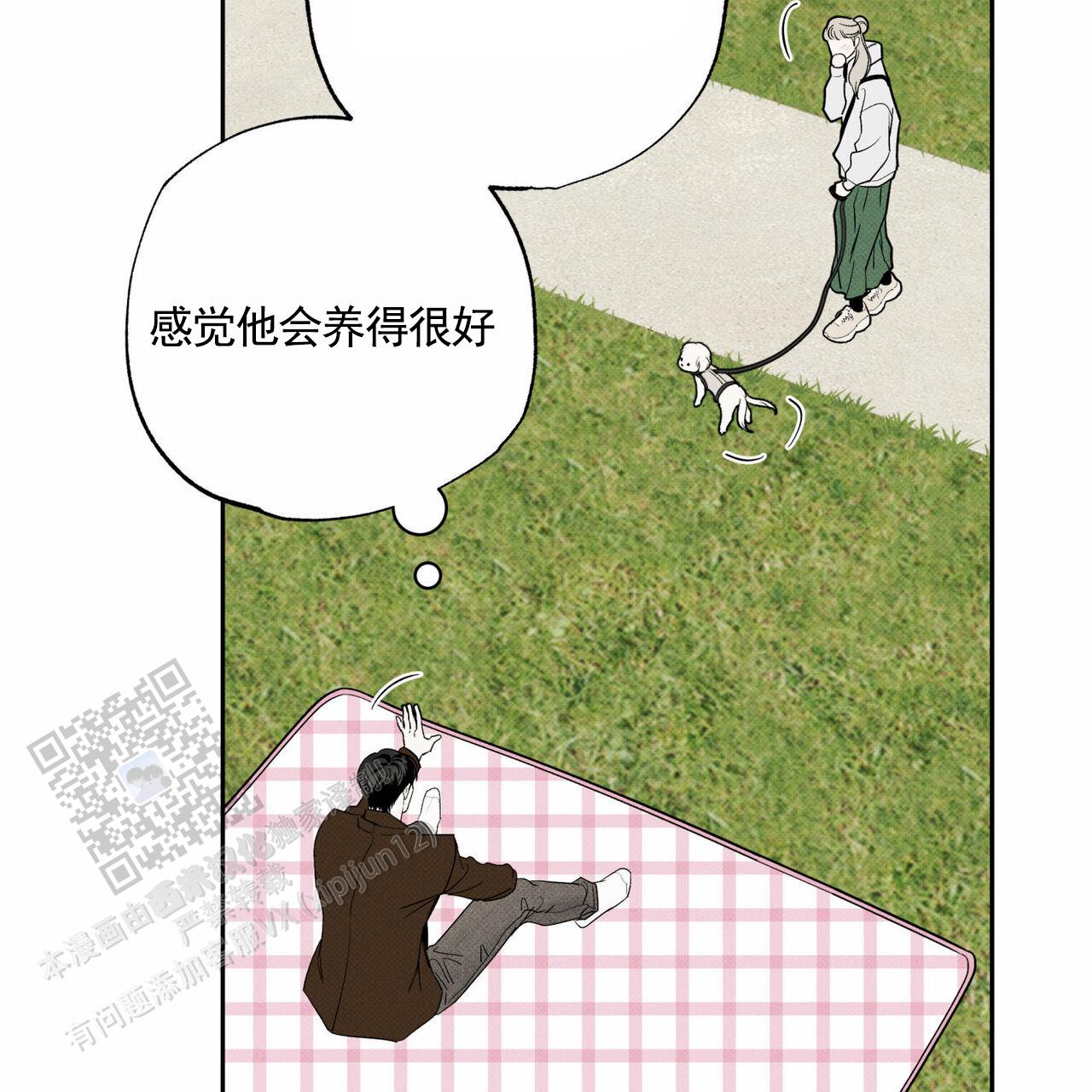 27.jpg