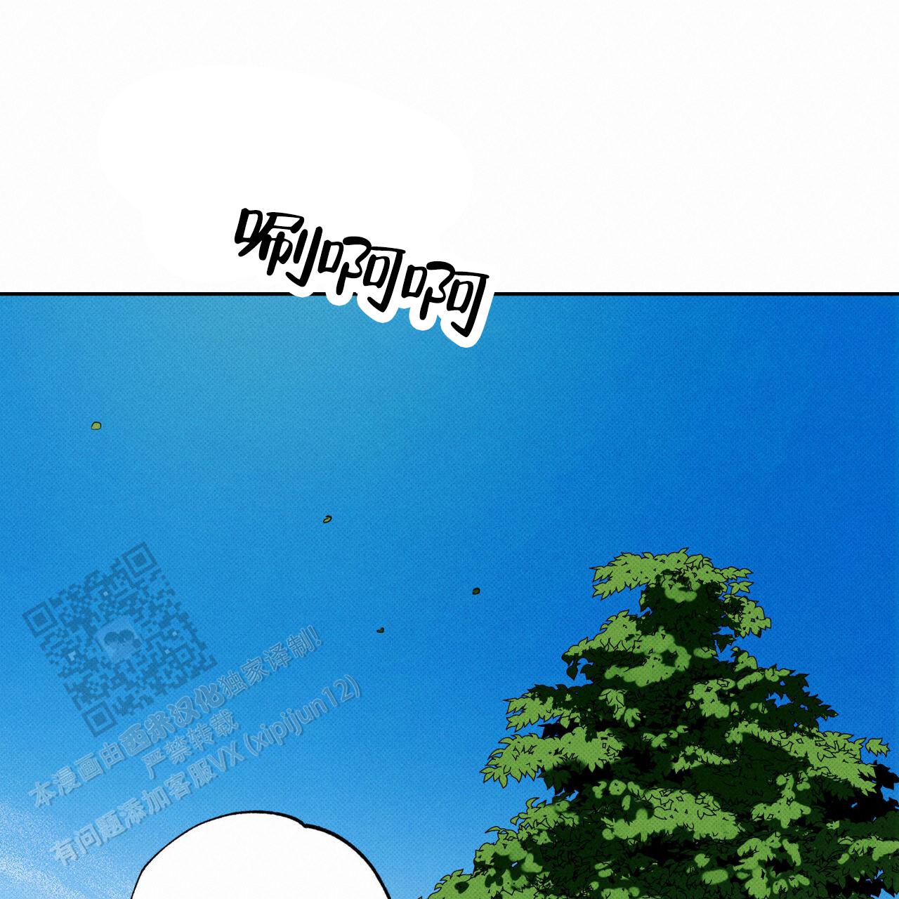 48.jpg