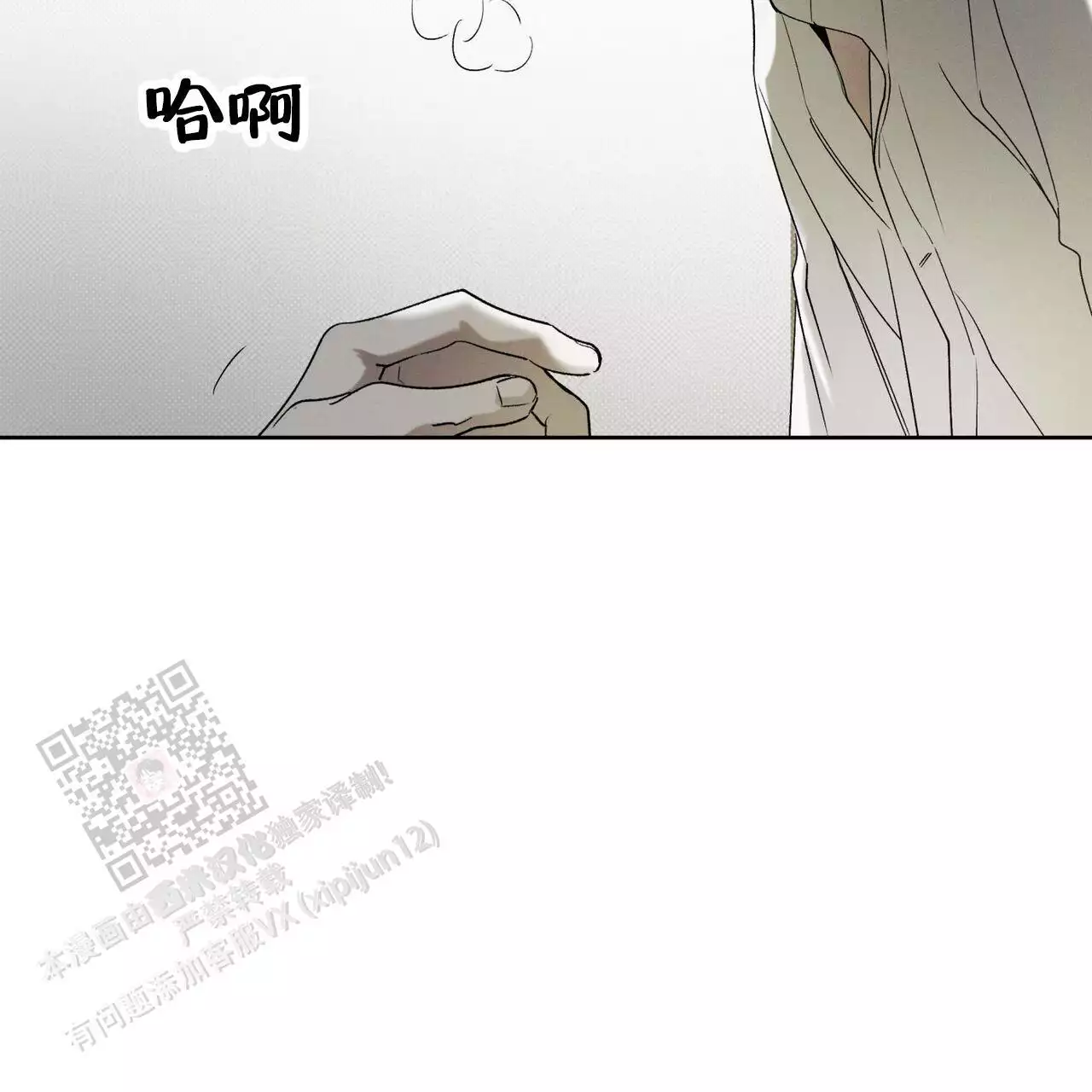 52.jpg