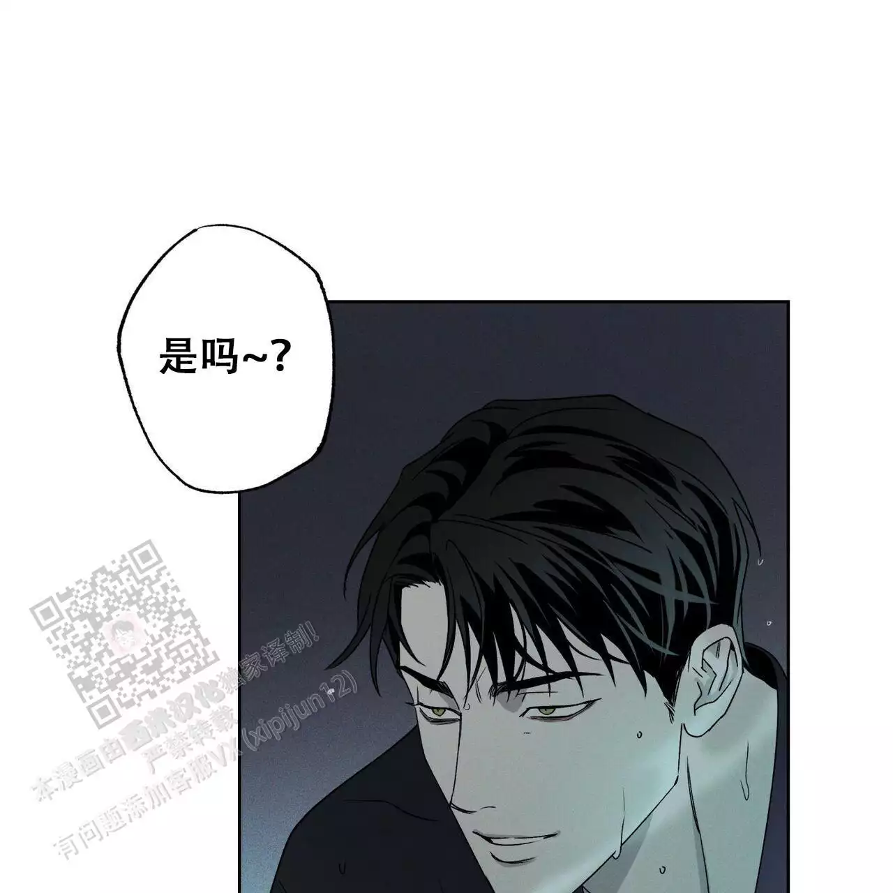 63.jpg