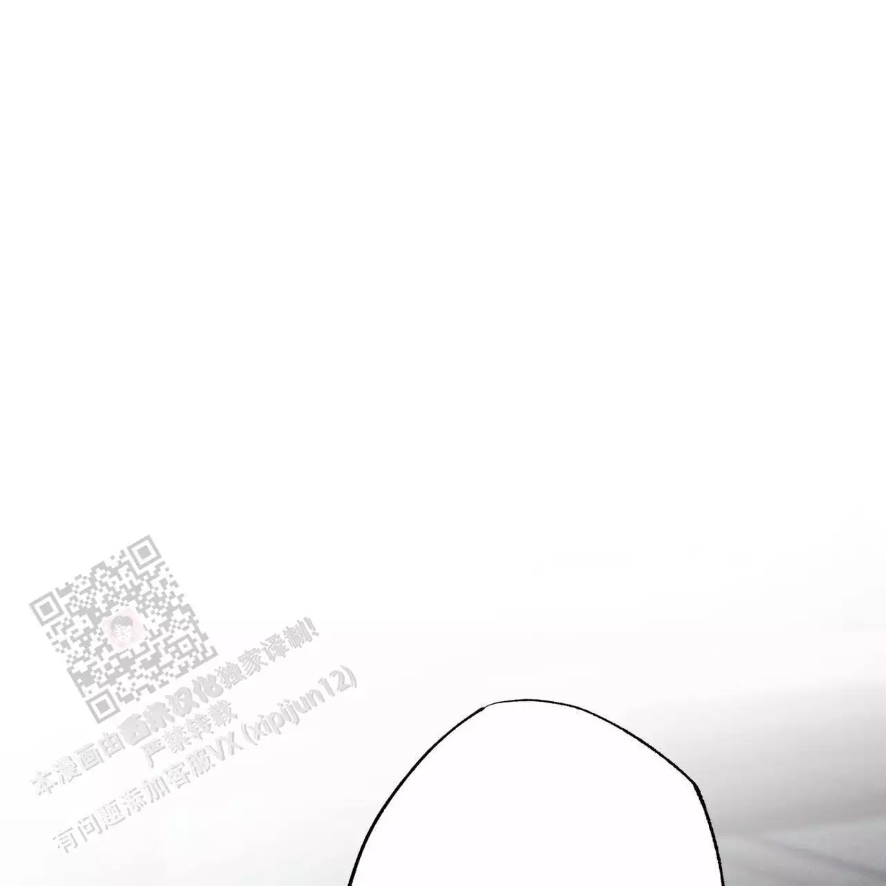 65.jpg