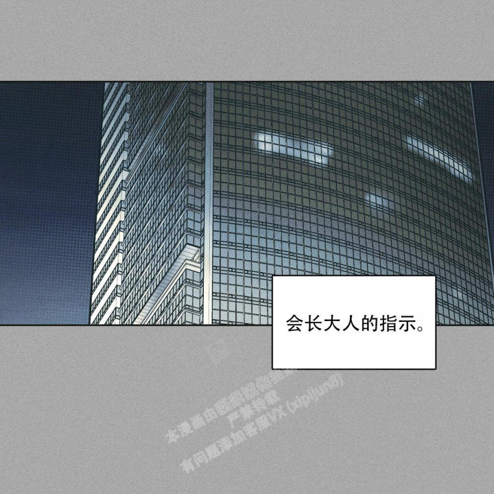 48.jpg
