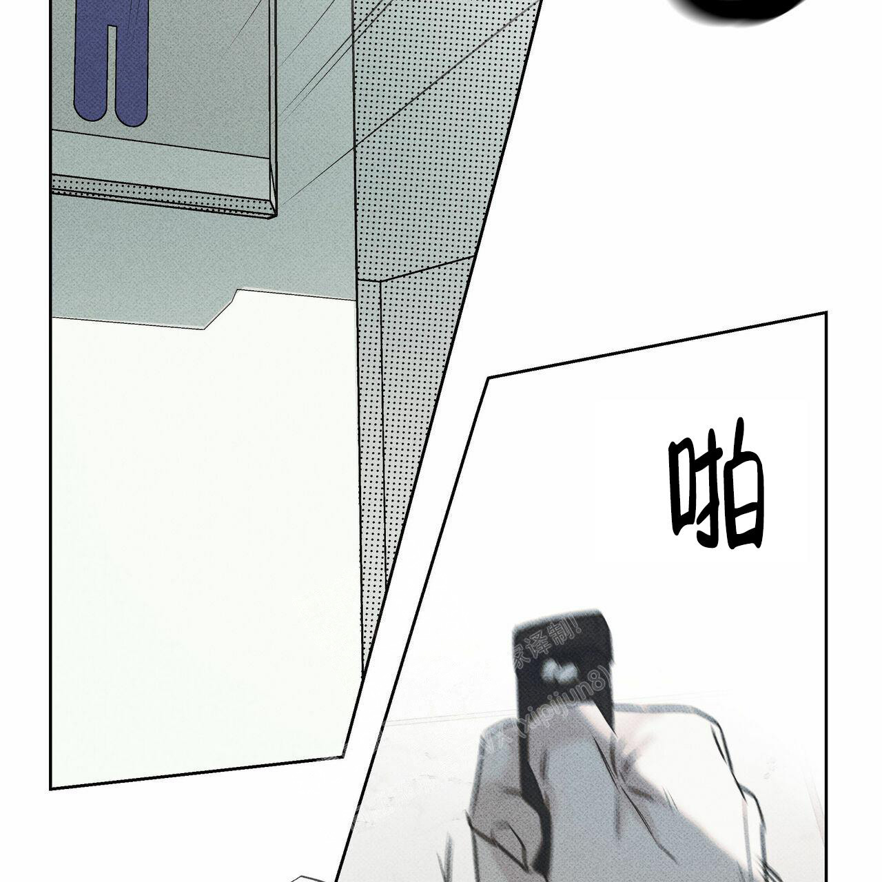 48.jpg