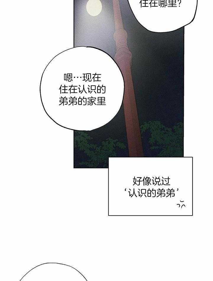 21.jpg