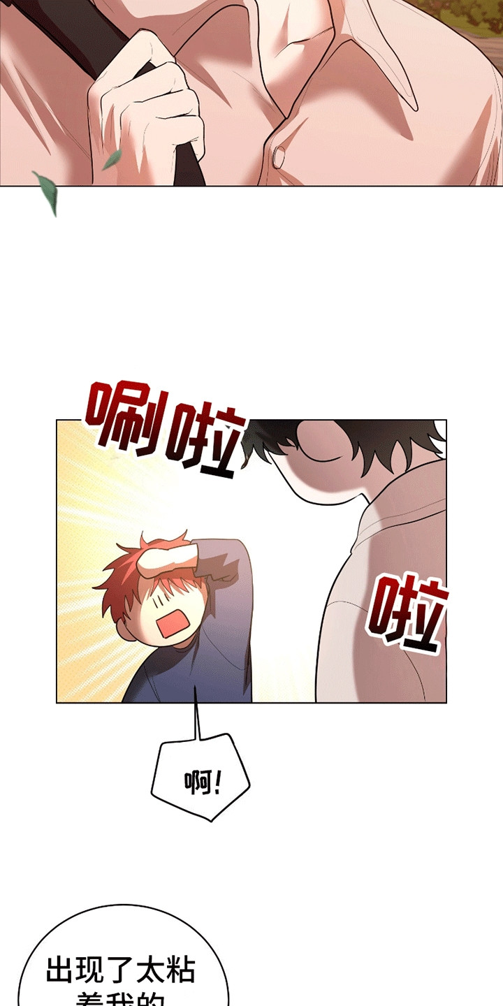 20.jpg