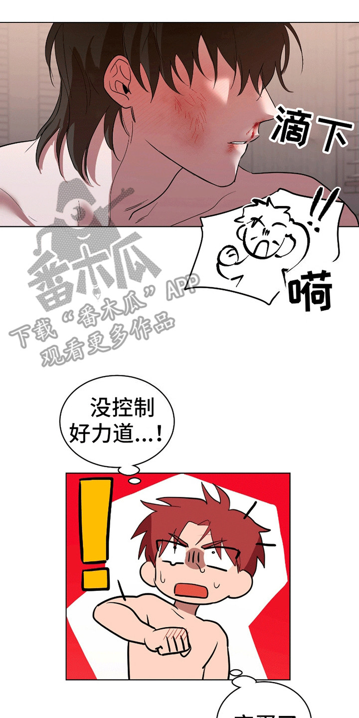5.jpg