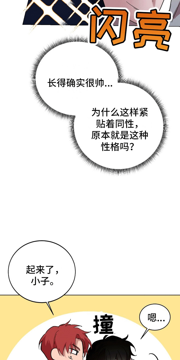 12.jpg