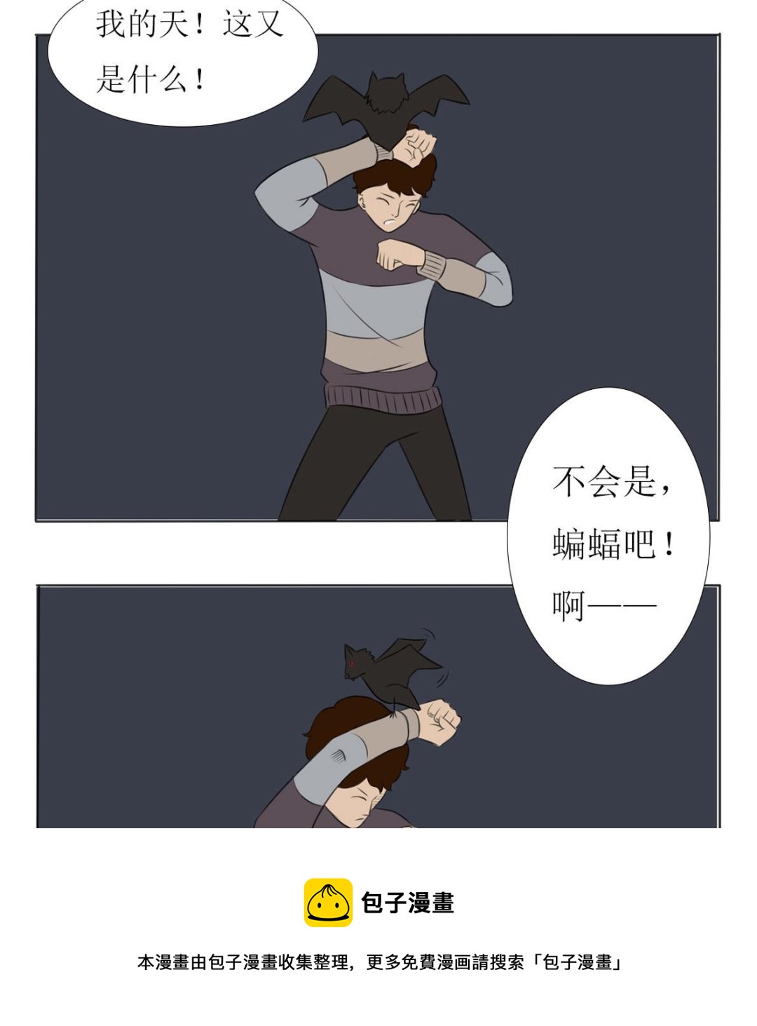 17.jpg