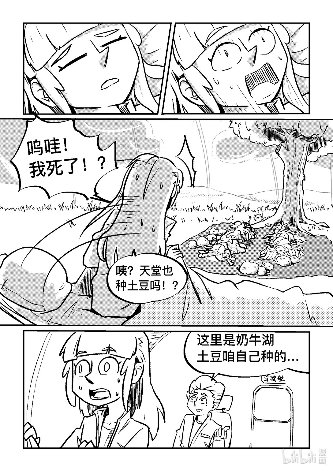 27.jpg