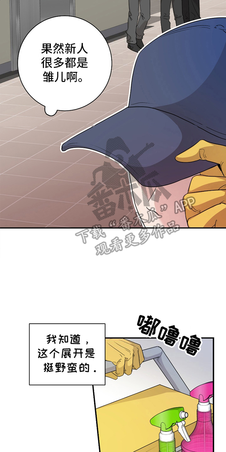 16.jpg