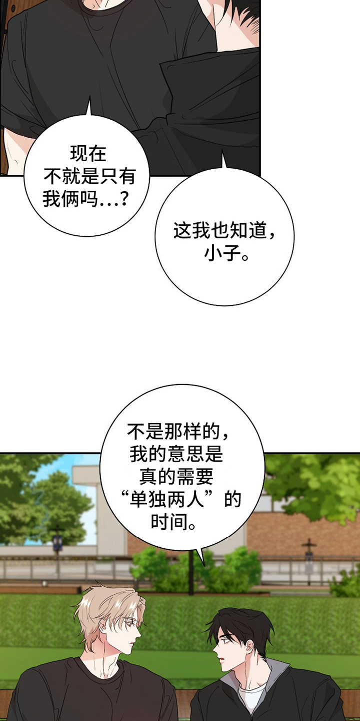 15.jpg