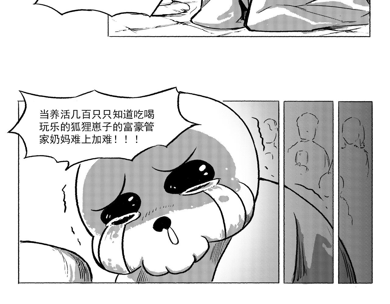17.jpg
