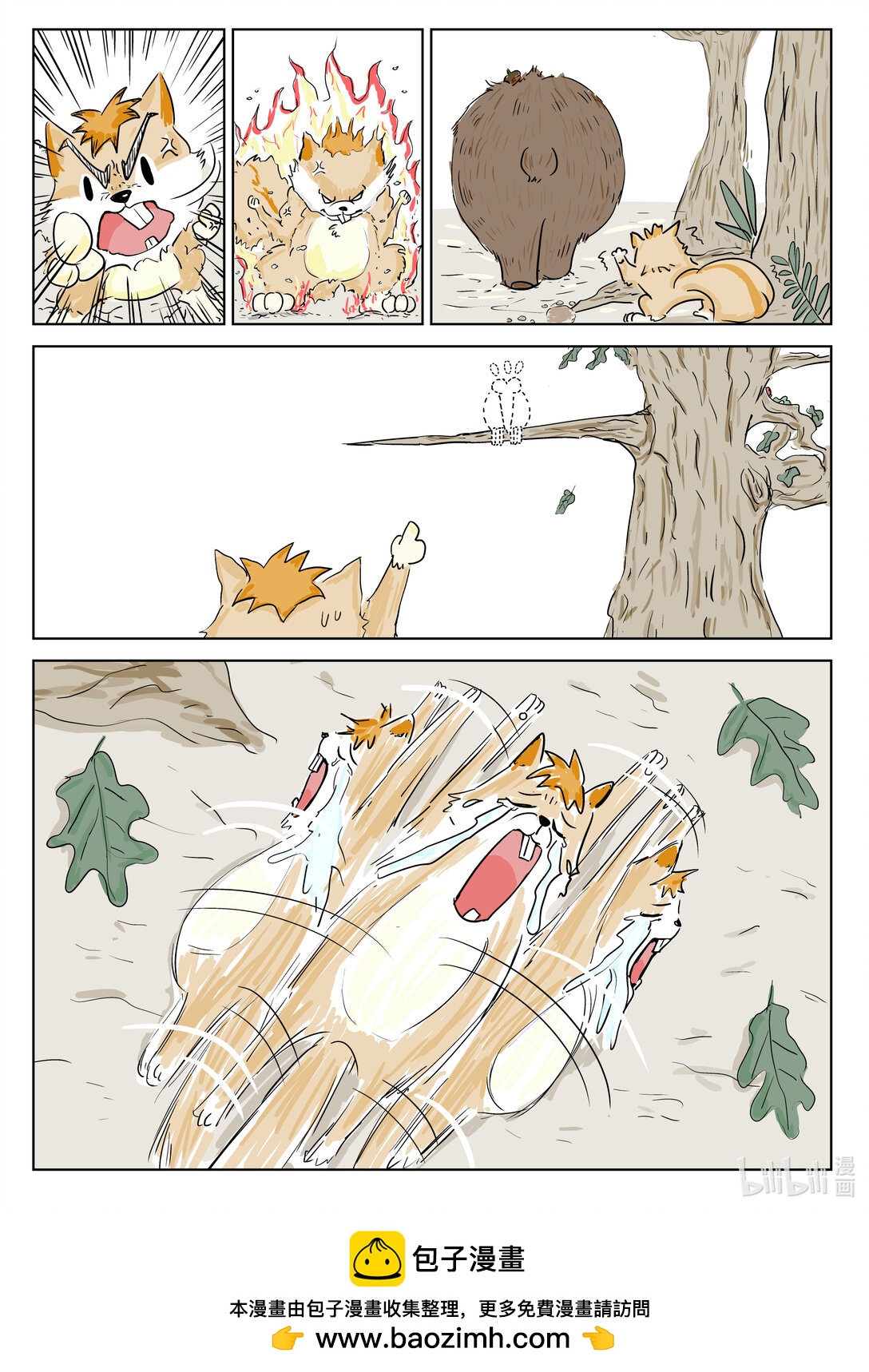 4.jpg