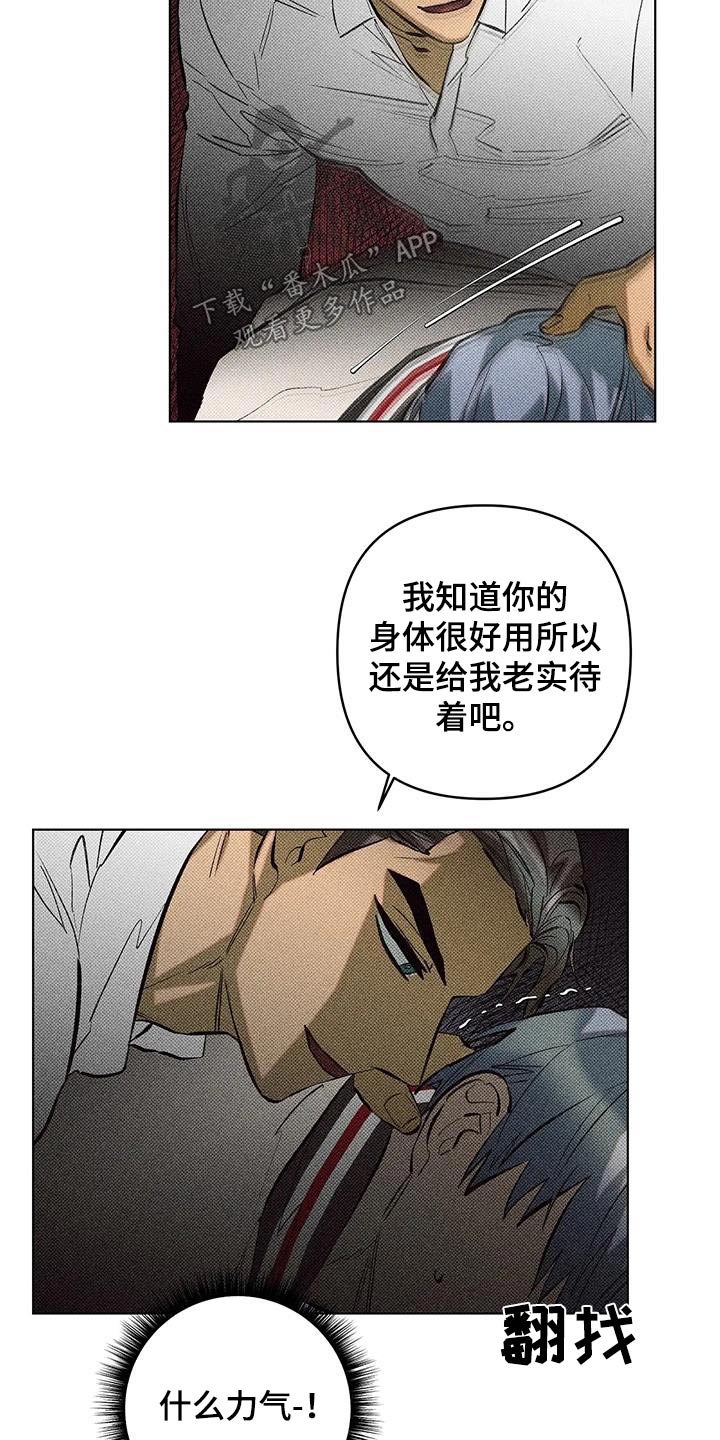 20.jpg