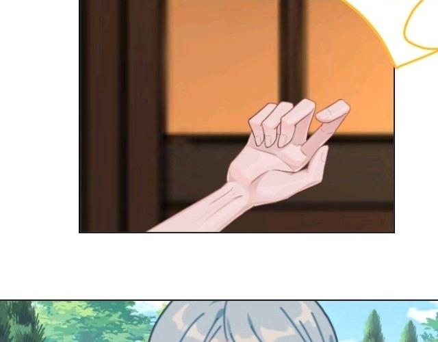 41.jpg