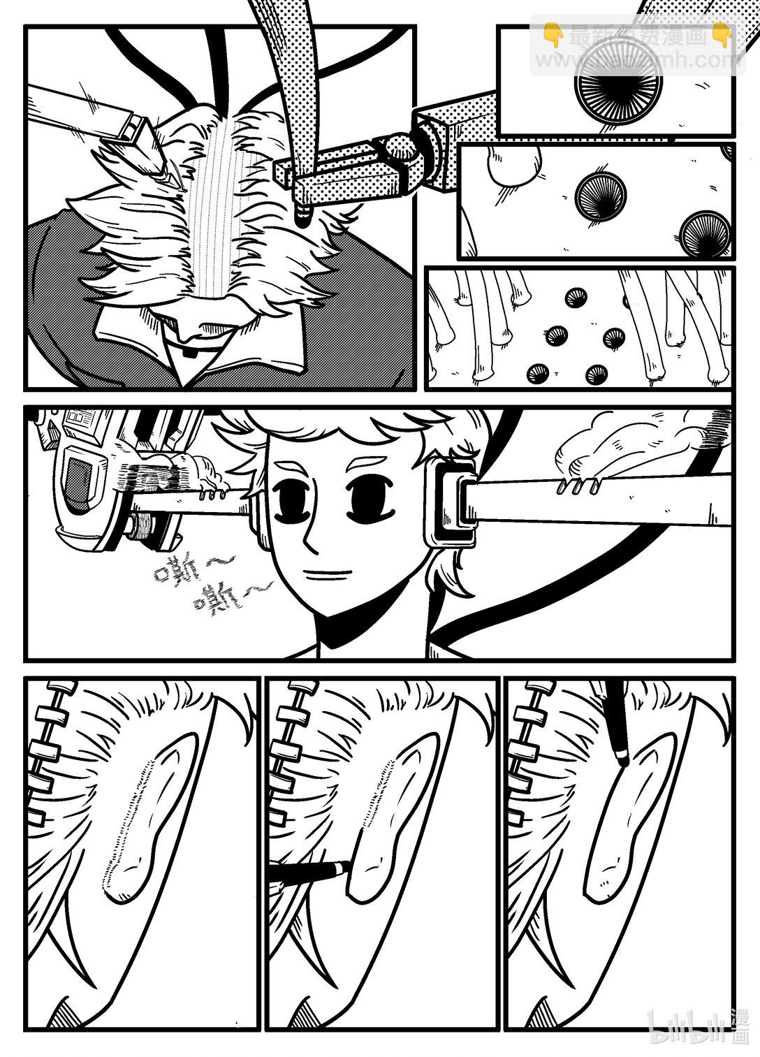 21.jpg