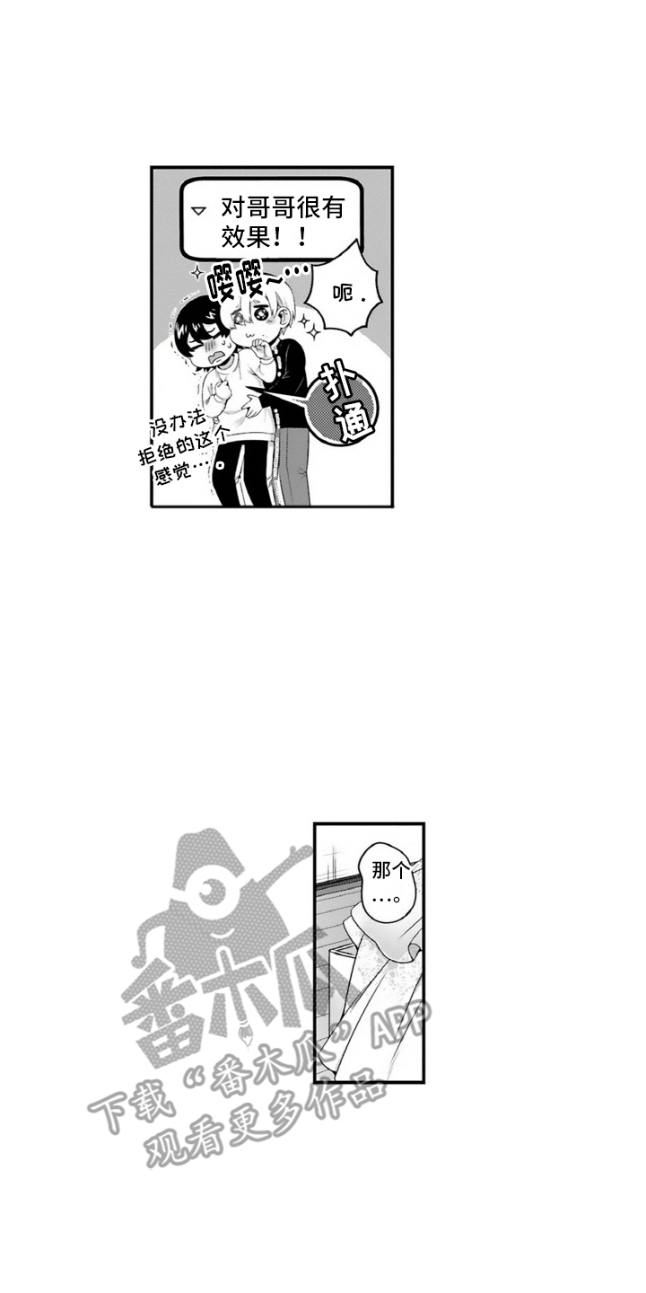 17.jpg