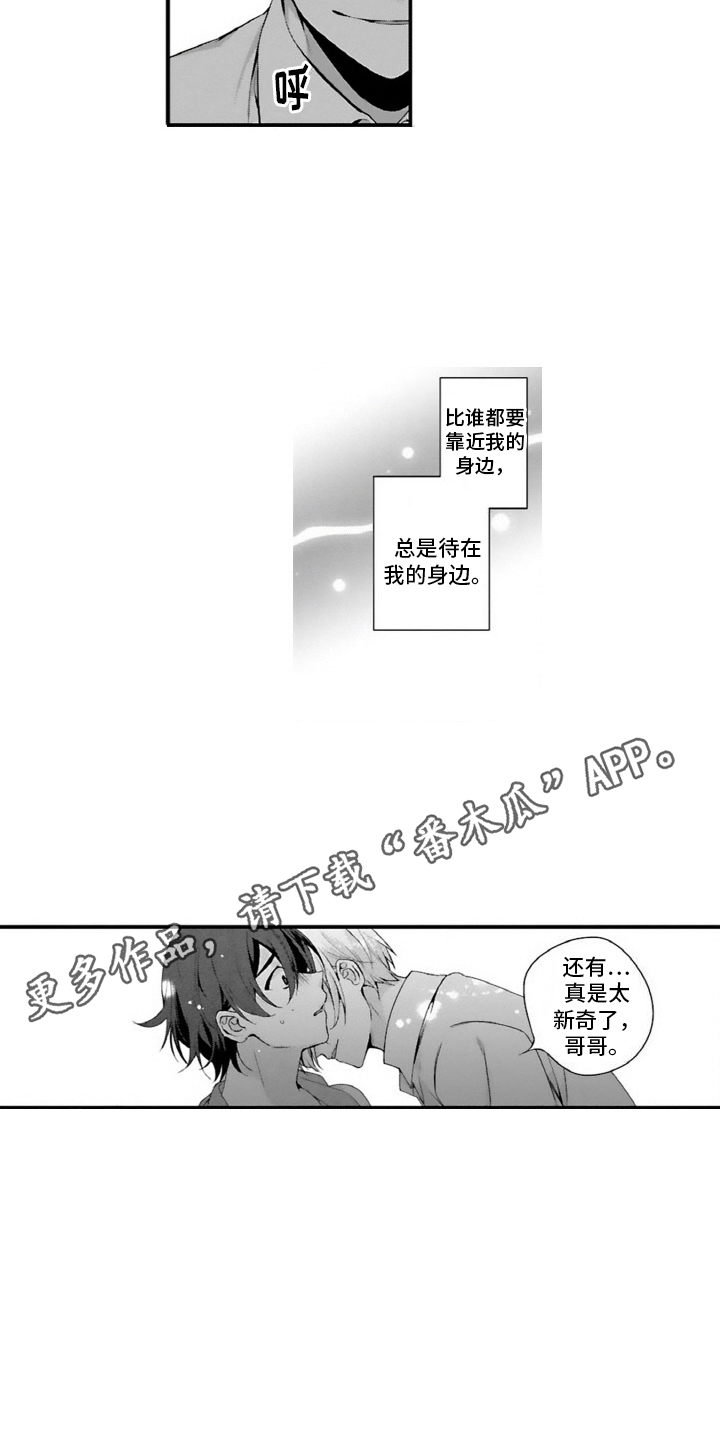11.jpg