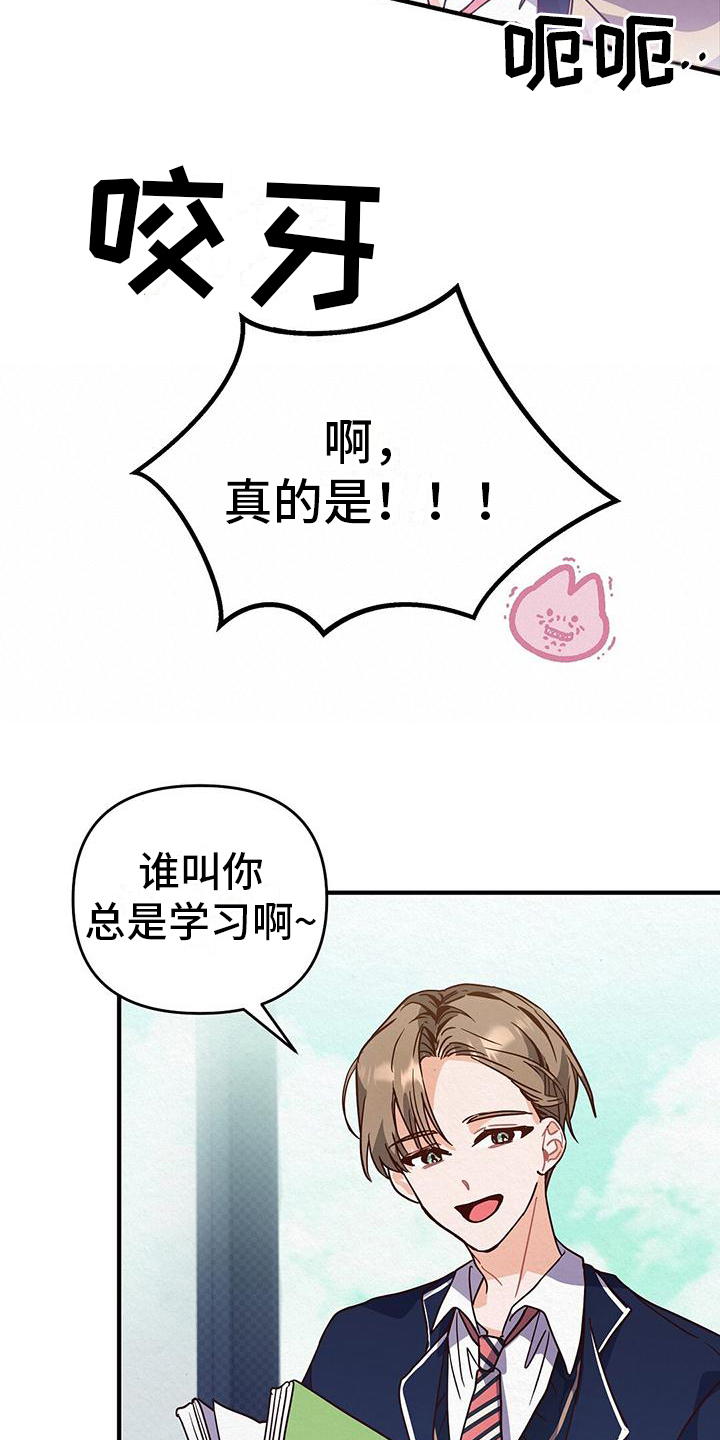 11.jpg