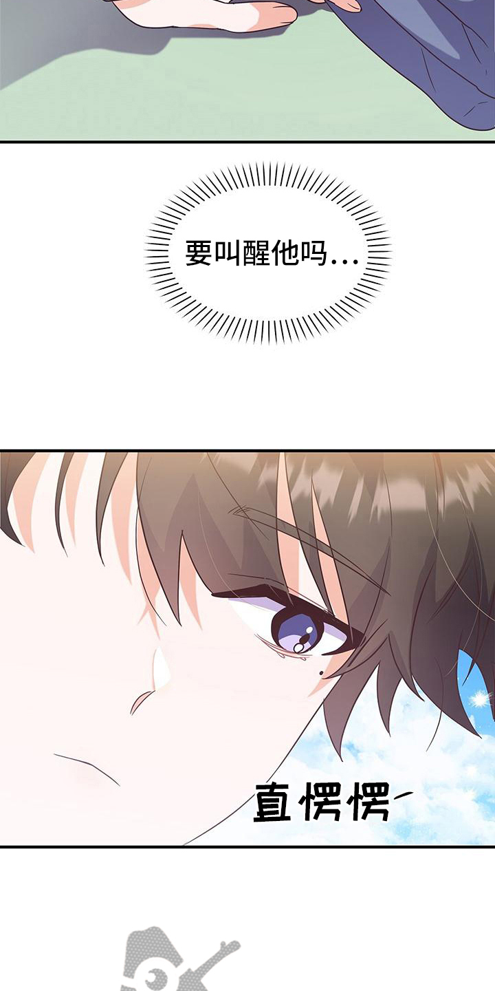 13.jpg