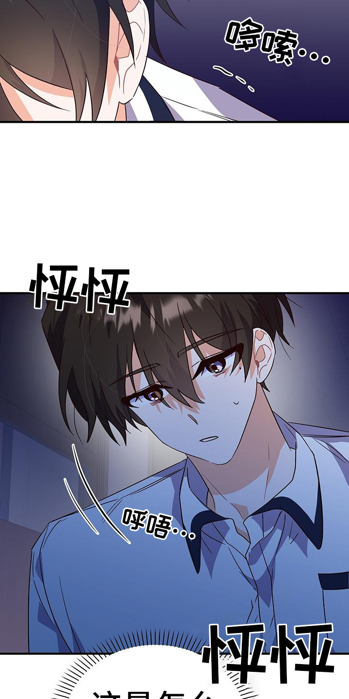 27.jpg