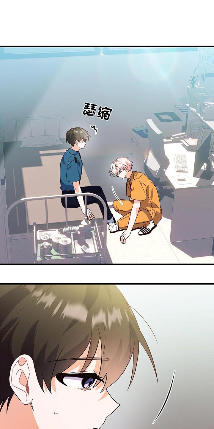 15.jpg