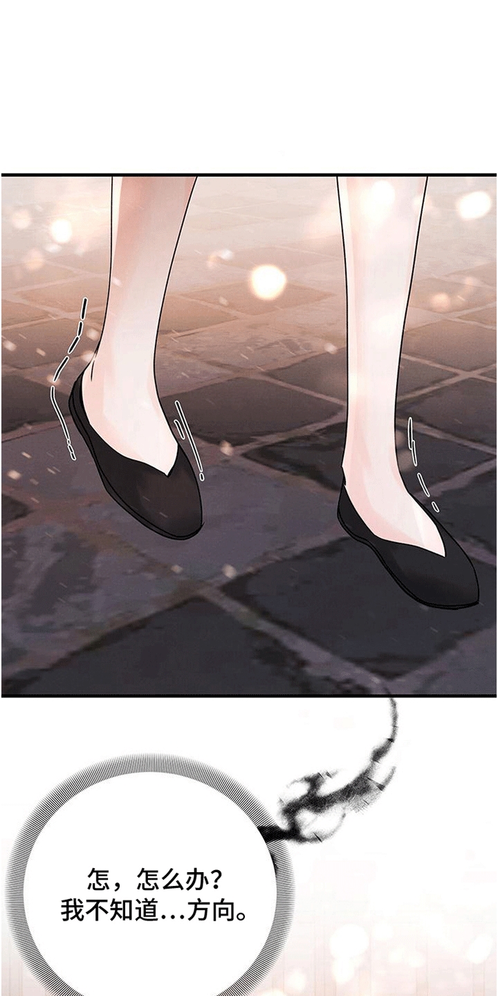 29.jpg