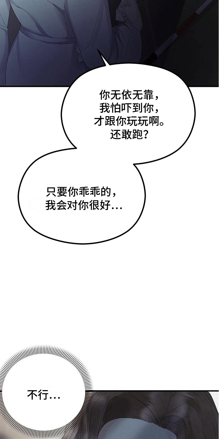 15.jpg
