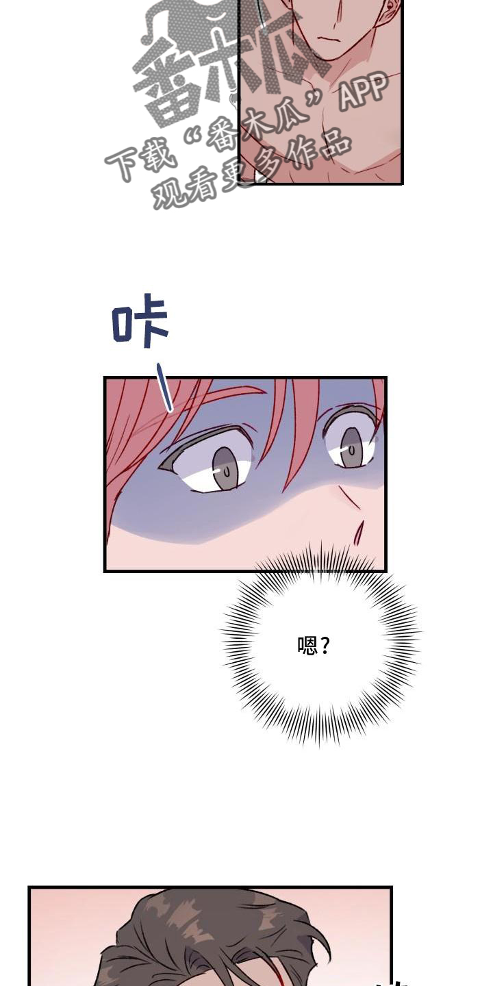 31.jpg