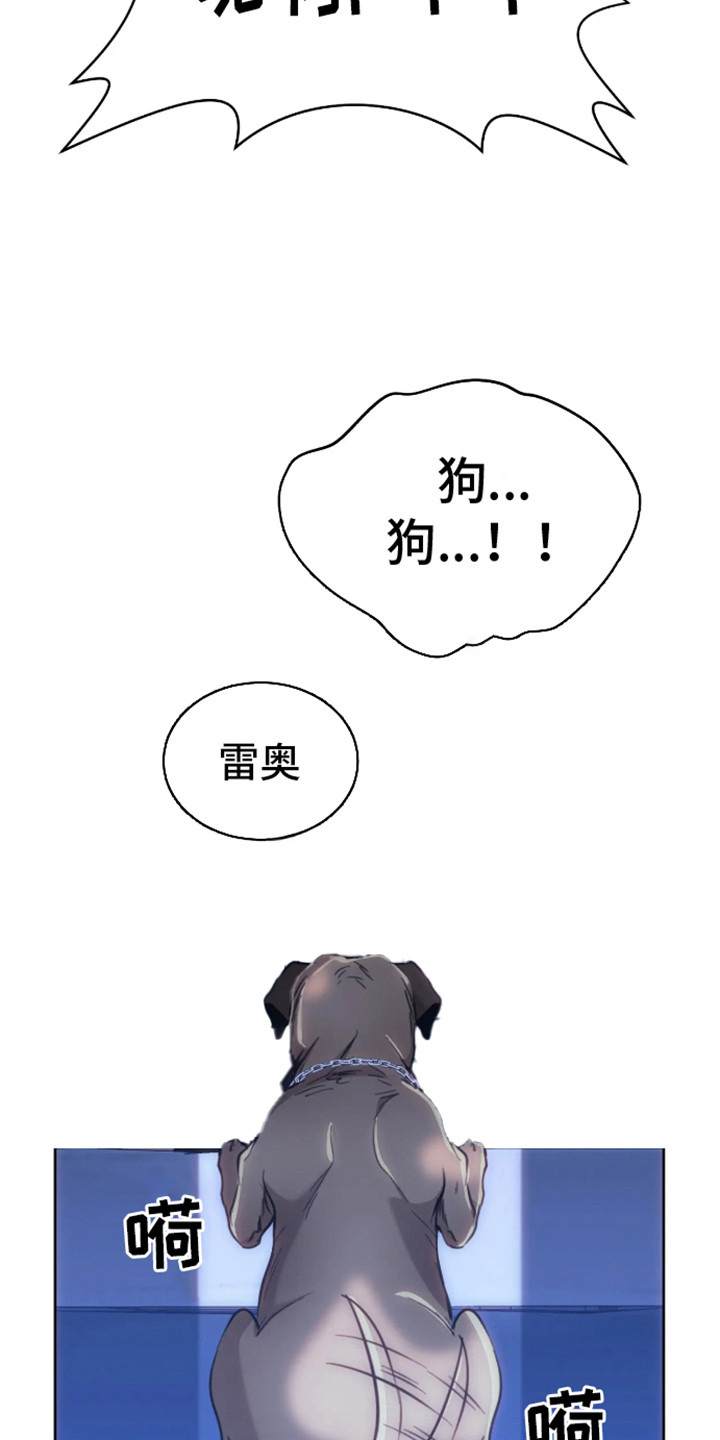 21.jpg