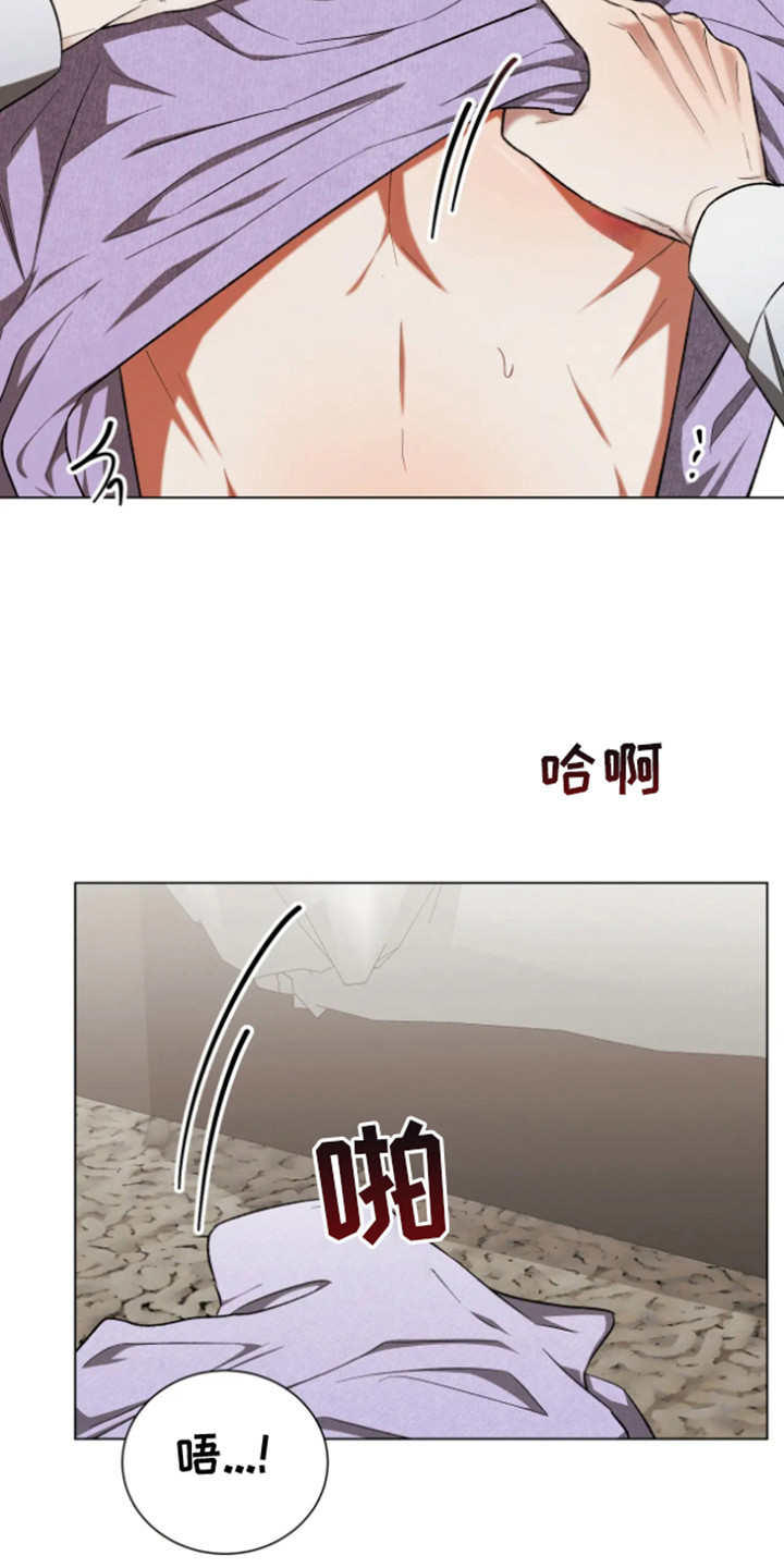 21.jpg