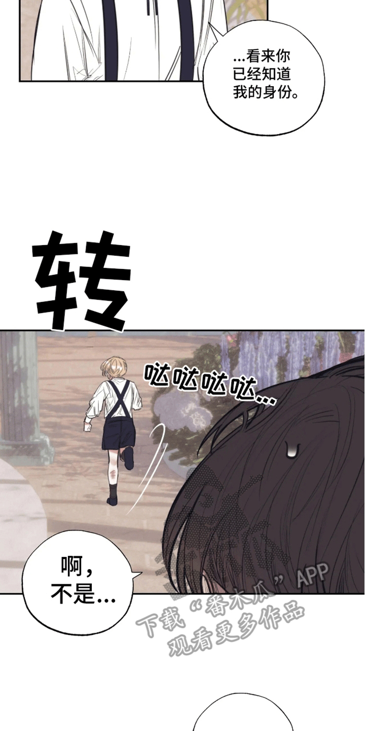 16.jpg
