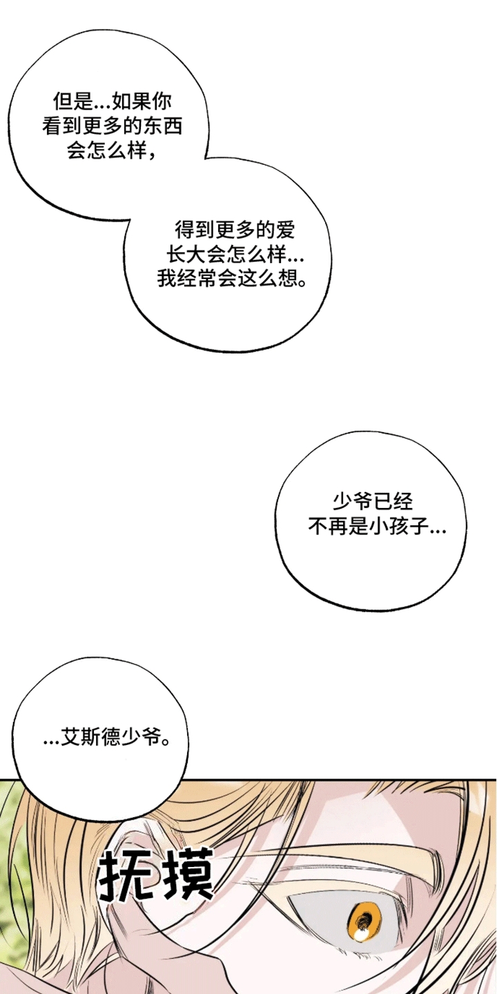 14.jpg