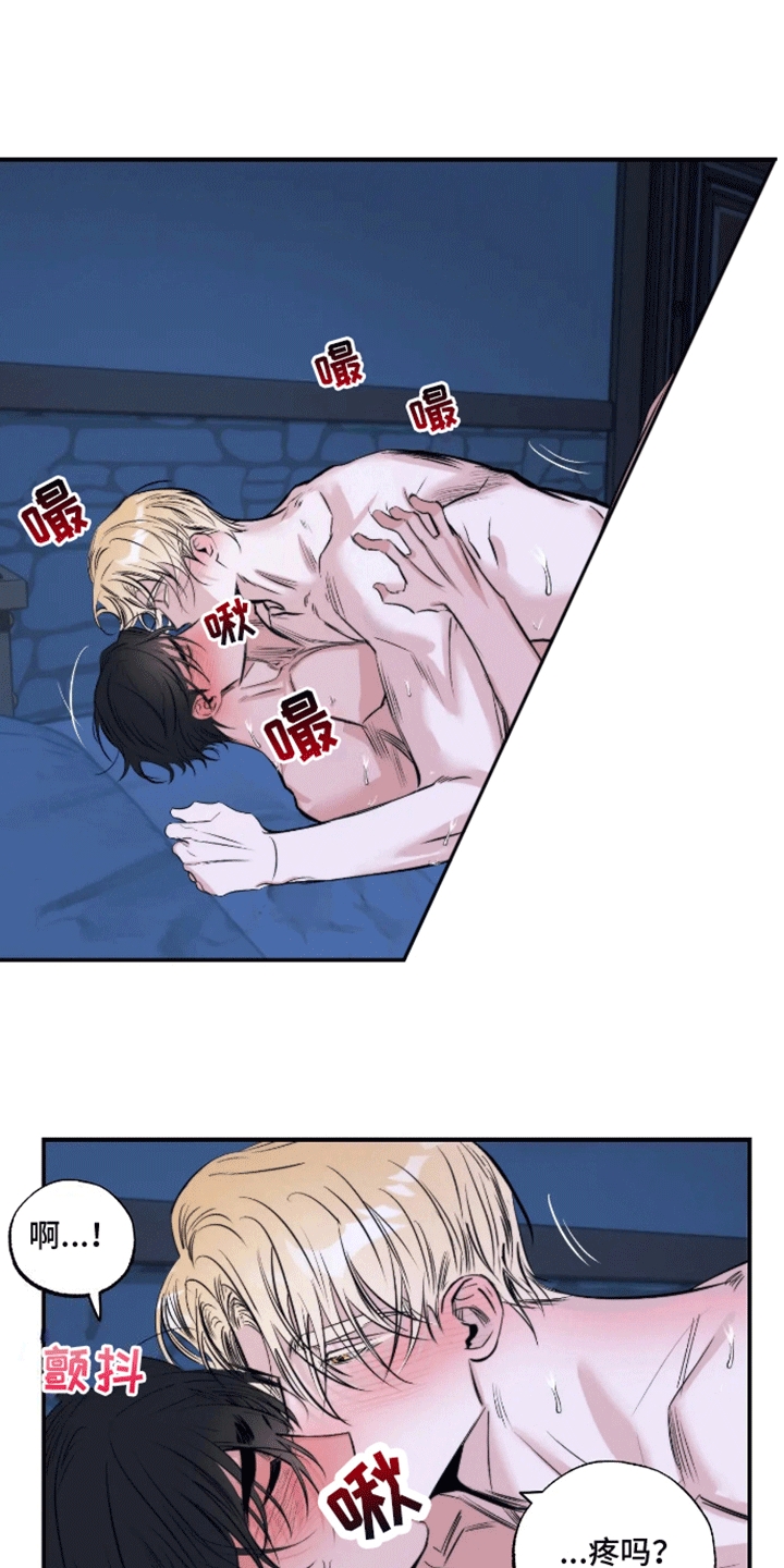 14.jpg