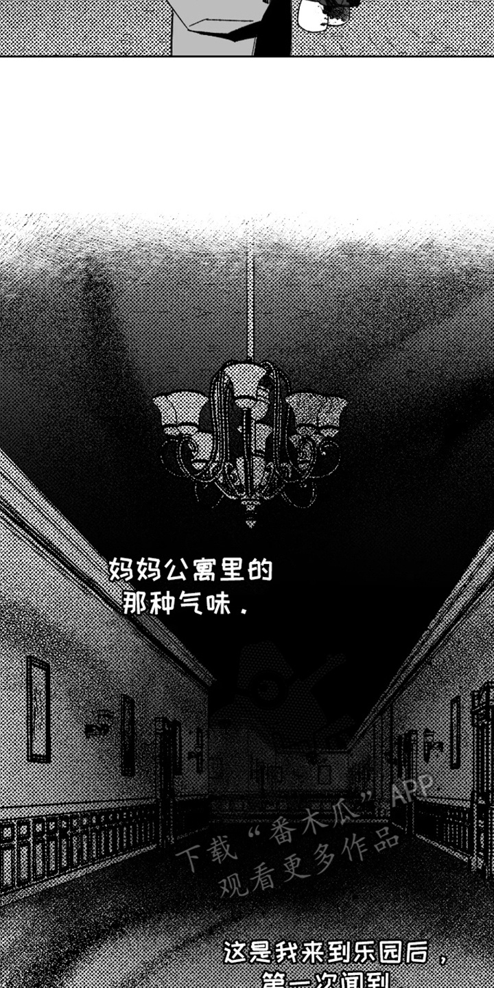14.jpg