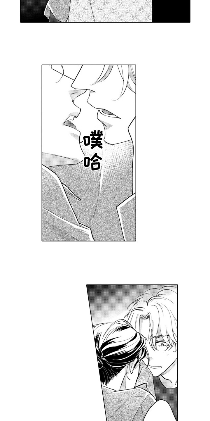 13.jpg