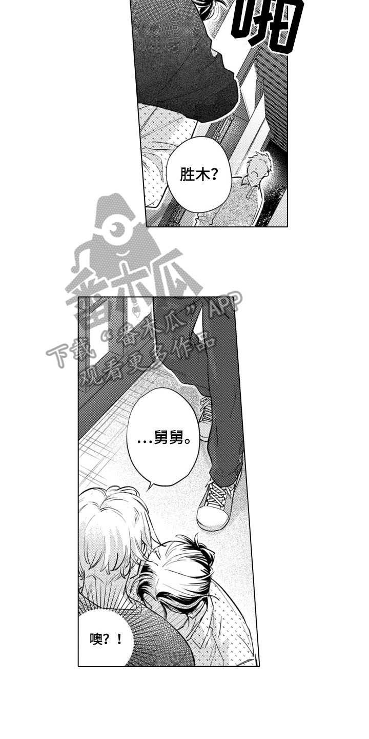 6.jpg