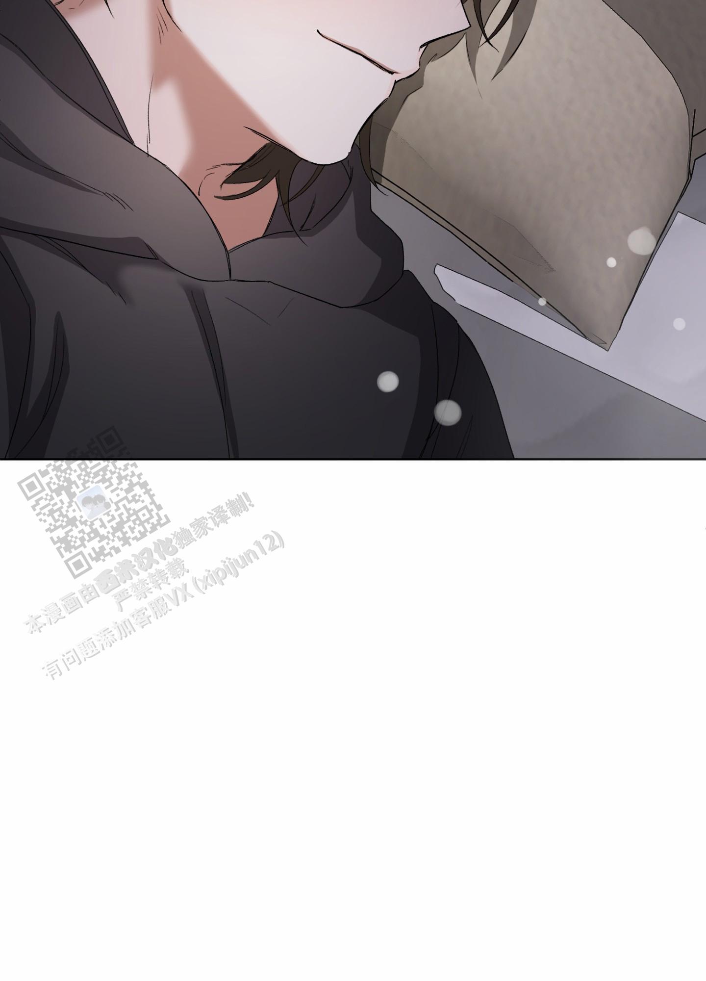 43.jpg