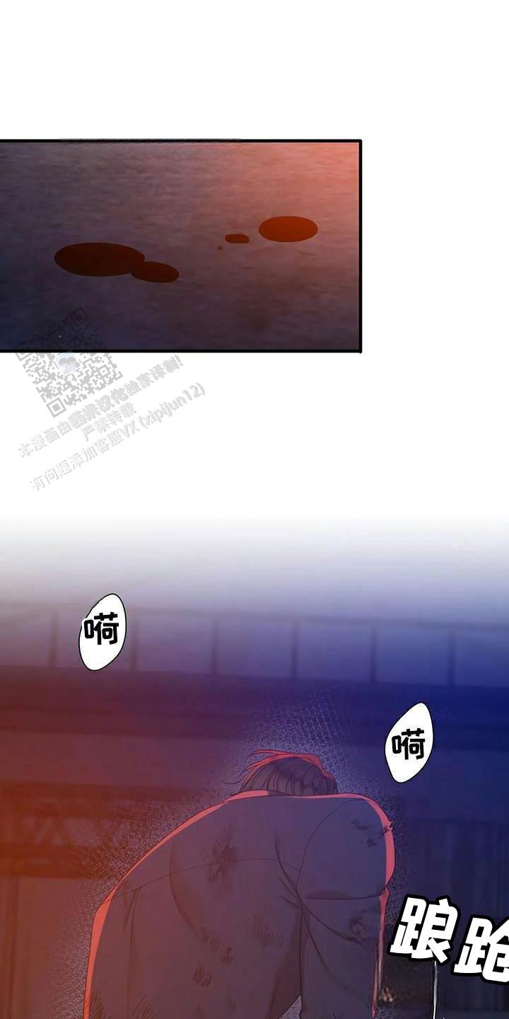 26.jpg