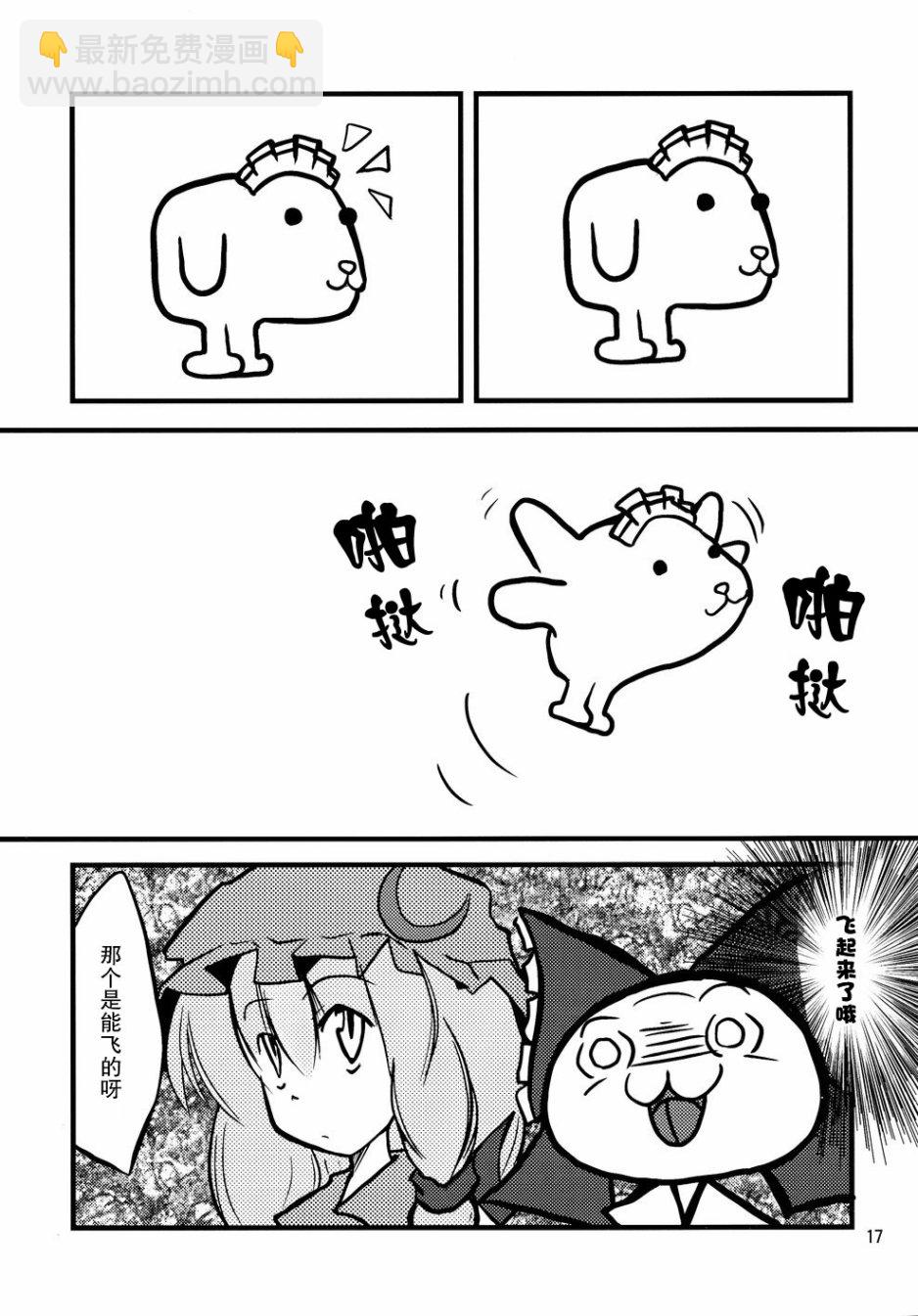 17.jpg