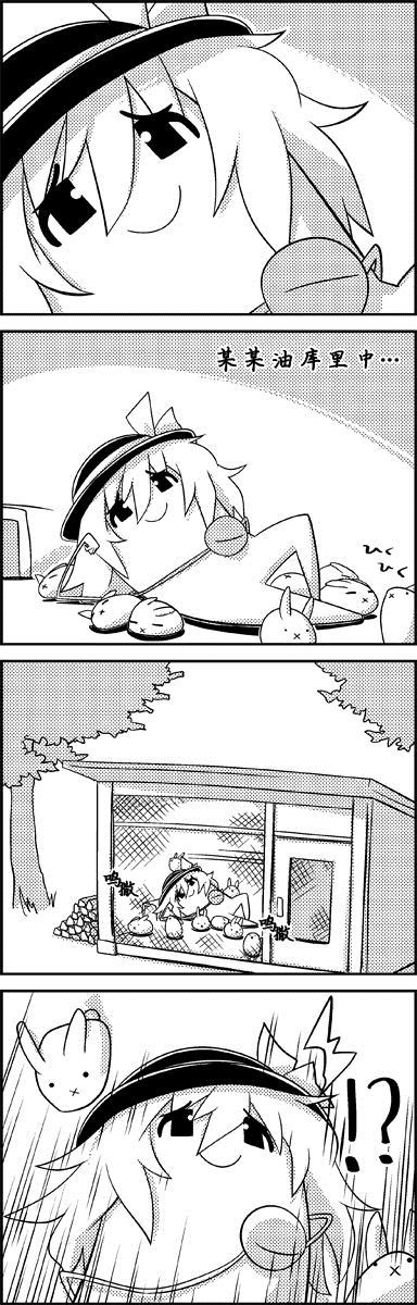 12.jpg