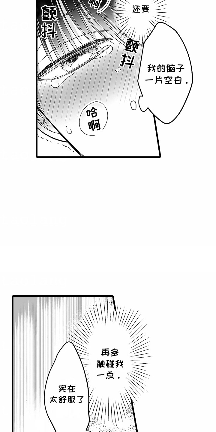 12.jpg